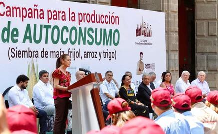 Gobierno de la CDMX invertirá 4 mil 200 millones de pesos en zonas rurales y forestales