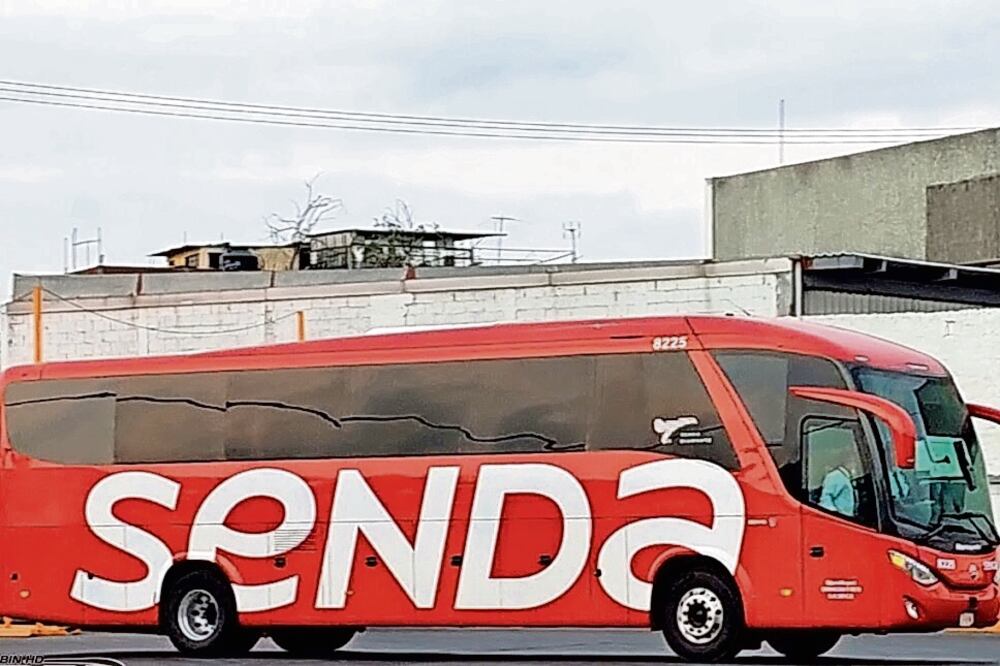 El autobús de Grupo Senda fue detenido por sujetos armados, quienes obligaron a los pasajeros a descender de la unidad y se llevaron 31 migrantes. El camión llegó a su destino con cinco personas y los dos choferes. Foto: Especial