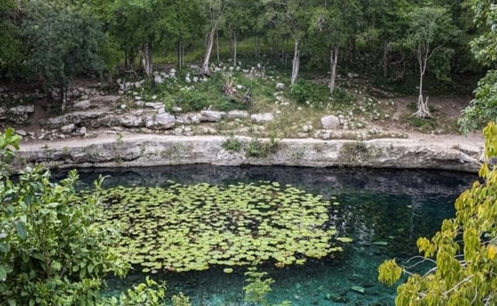Playa, jardines o el cielo: lugares para recibir la primavera en México