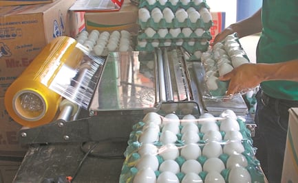 Piden establecer a Sonora, Sinaloa y Yucatán zonas libres de gripe aviar