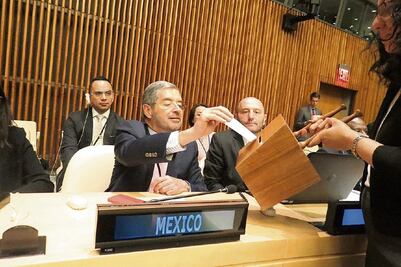 México obtiene 4 lugares en consejo económico de ONU