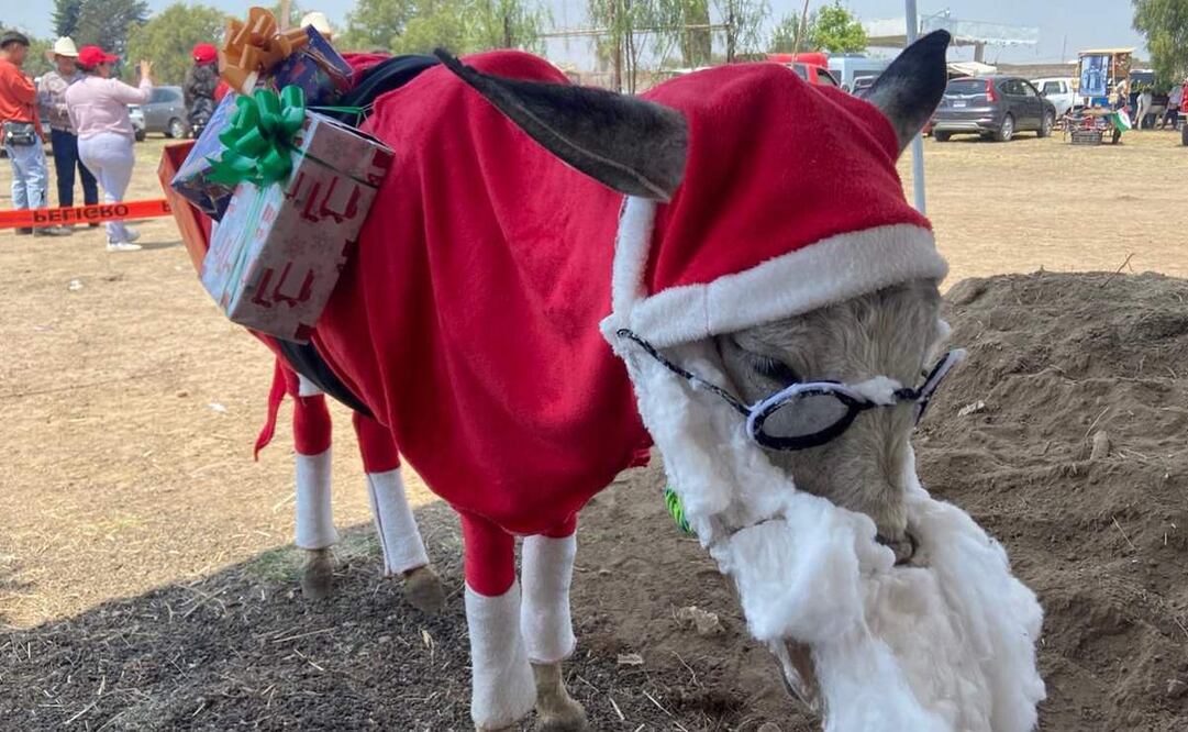 Esta tradición inició en 1965 por iniciativa de un grupo de habitantes de Otumba. Foto: Emilio Fernández/ EL UNIVERSAL