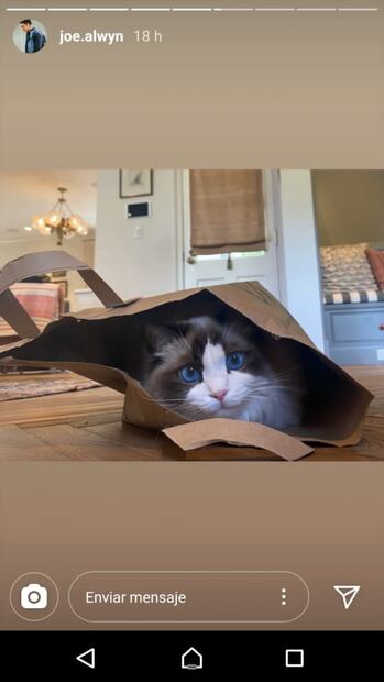 Tiernas fotos revelan que Taylor Swift pasa cuarentena con su novio