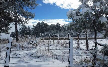 Winter storm dusts Chihuahua and Durango with snow