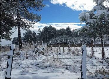 Winter storm dusts Chihuahua and Durango with snow