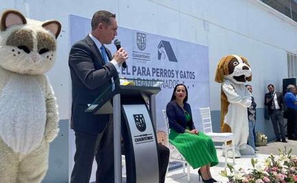 Firman convenio de intercambio de servicios entre Hotel de perritos en Cuauhtémoc y Hospital Veterinario de Cuajimalpa