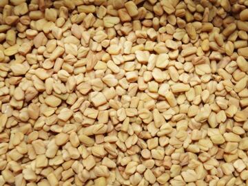 Qué es el fenogreco y para qué sirve