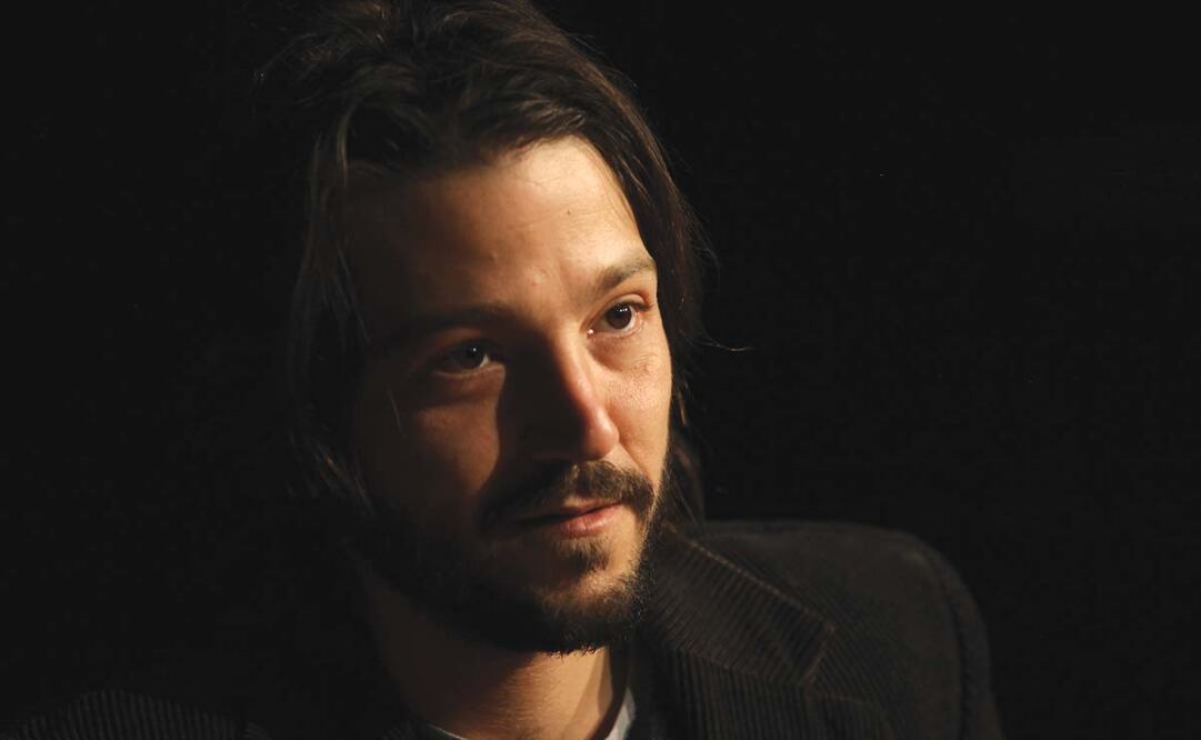 Diego Luna Multifacético