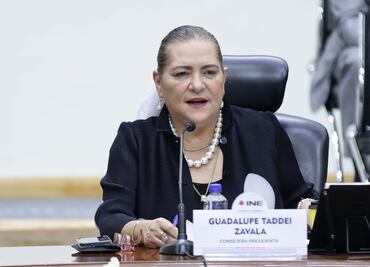 Elección de consejeros por voto popular preocupa al INE; sería un camino “escabroso”, advierte Taddei