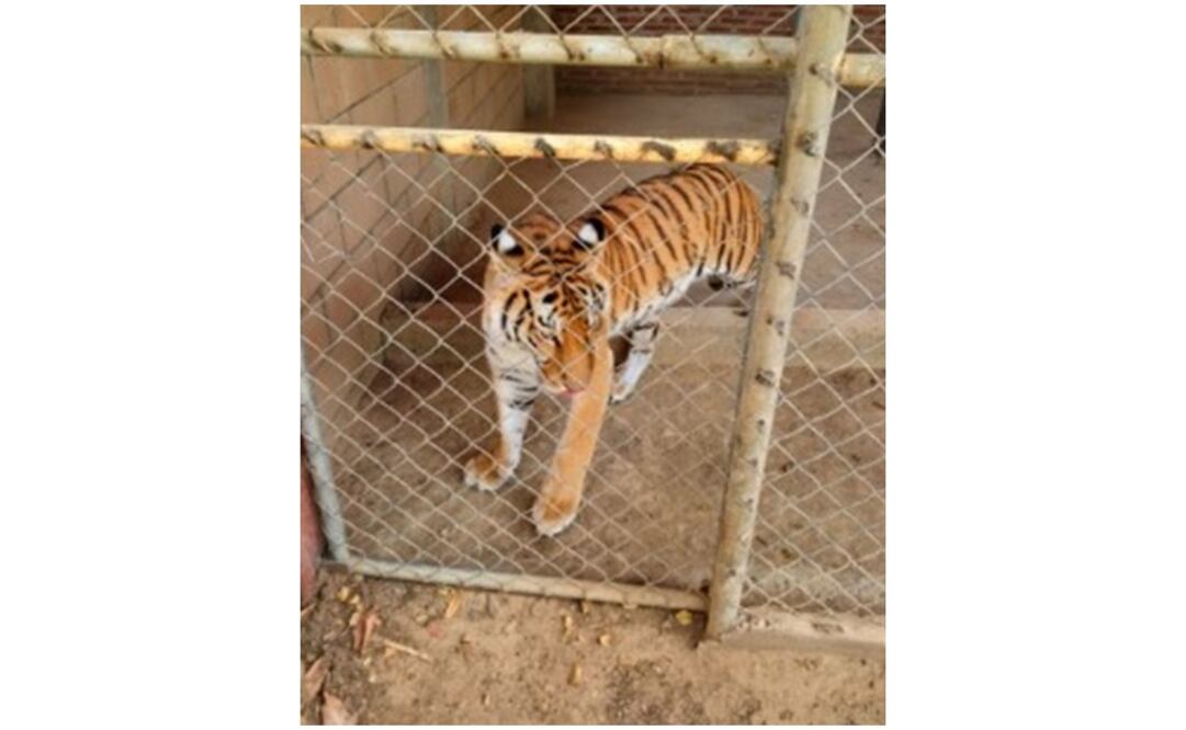 (Fotografía: Especial )