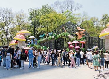 Atrae a cientos de familias el Festival de los Hongos