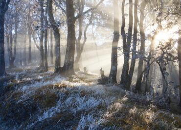 Pese al frío, actividades no paran en Sierra Juárez Oaxaca