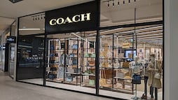 Dónde está el outlet de Coach más cercano a la CDMX