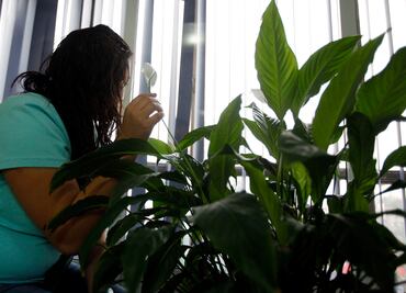 Aumenta la violencia sexual en México en 5 años