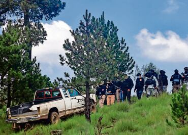 Dos cárteles controlan la tala ilegal en la CDMX