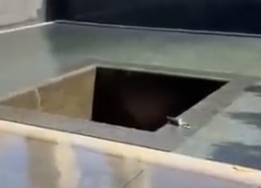 VIDEO: Detienen a hombre que saltó a la piscina del Memorial del 11-S en Nueva York