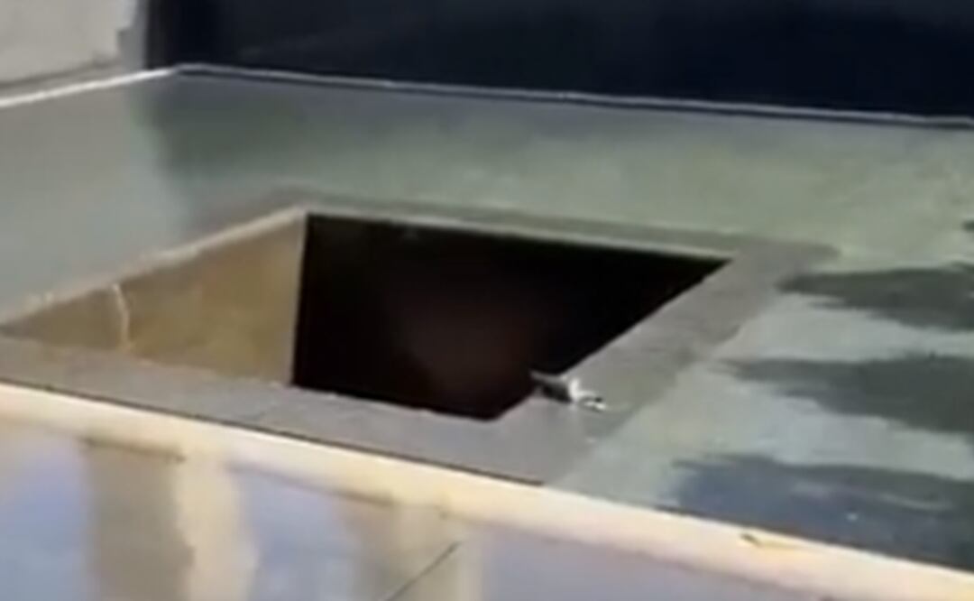 Hombre saltó a la piscina del Monumento del 11 de septiembre en Nueva York. Foto: Tomada del video