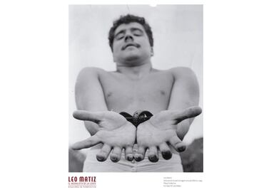 Confabulario: Diseccionando a Leo Matiz