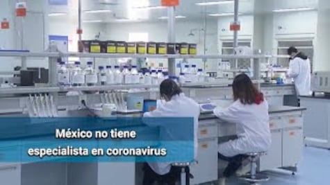 En México no hay ningún especialista en coronavirus, señalan