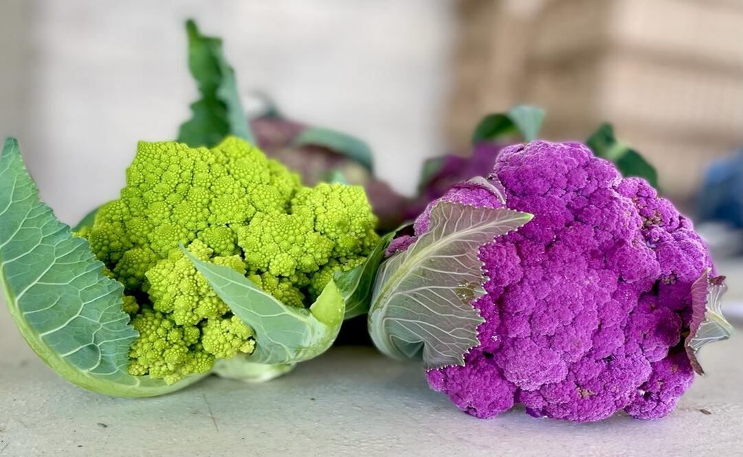 Fotos: Flavio Fernández