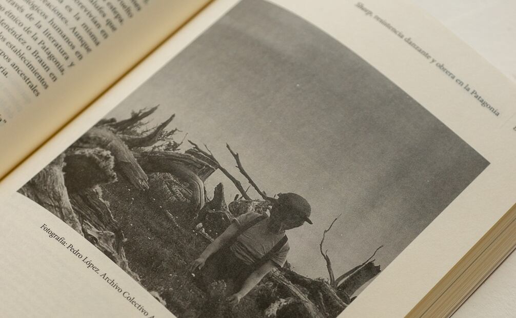 Danza, trabajo, creación y precariedad. Foto: Danza UNAM.