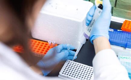 Especialistas buscan medios para proteger al personal médico