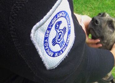 Brigada de Vigilancia Animal de CDMX rescató más de 250 animales en 2024; se concretaron más de 103 adopciones