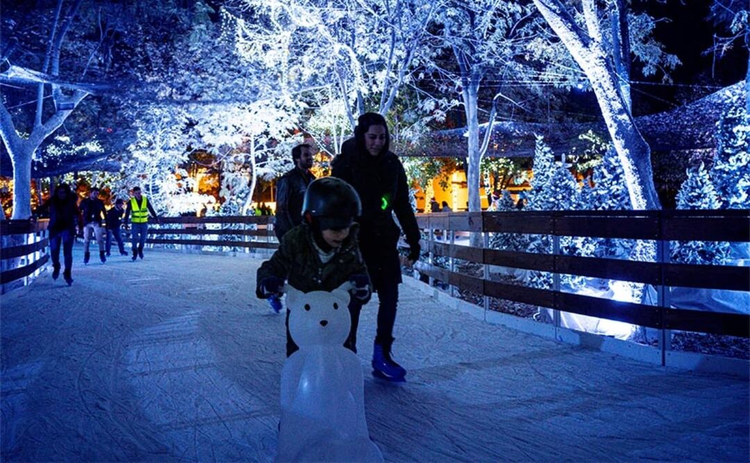 Foto: Navidalia/ Sitio web