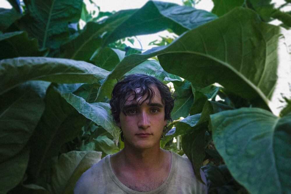 Lazzaro feliz, o el rostro del milagro