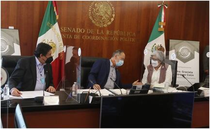 Sin propuesta de Ley de Emergencia Económica; veo la atención a los más vulnerables: Márquez Colín