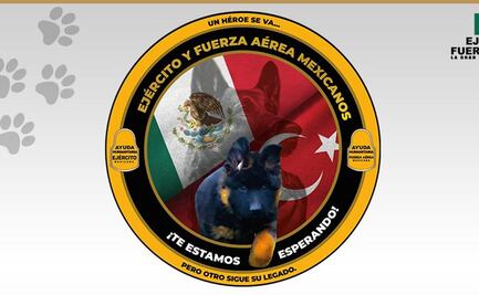 Cachorrito turco continuará con el legado de Proteo y se unirá al equipo de rescate de la Sedena