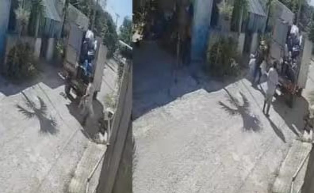 Conductor de camión recolector de basura atropella a perrito en Yucatán; aún con vida, lo arrojan al colector.
Foto: Especial