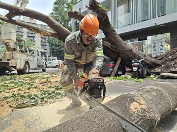 Benito Juárez enfrenta 25 contingencias; lluvias provocan inundaciones y caída de árboles
