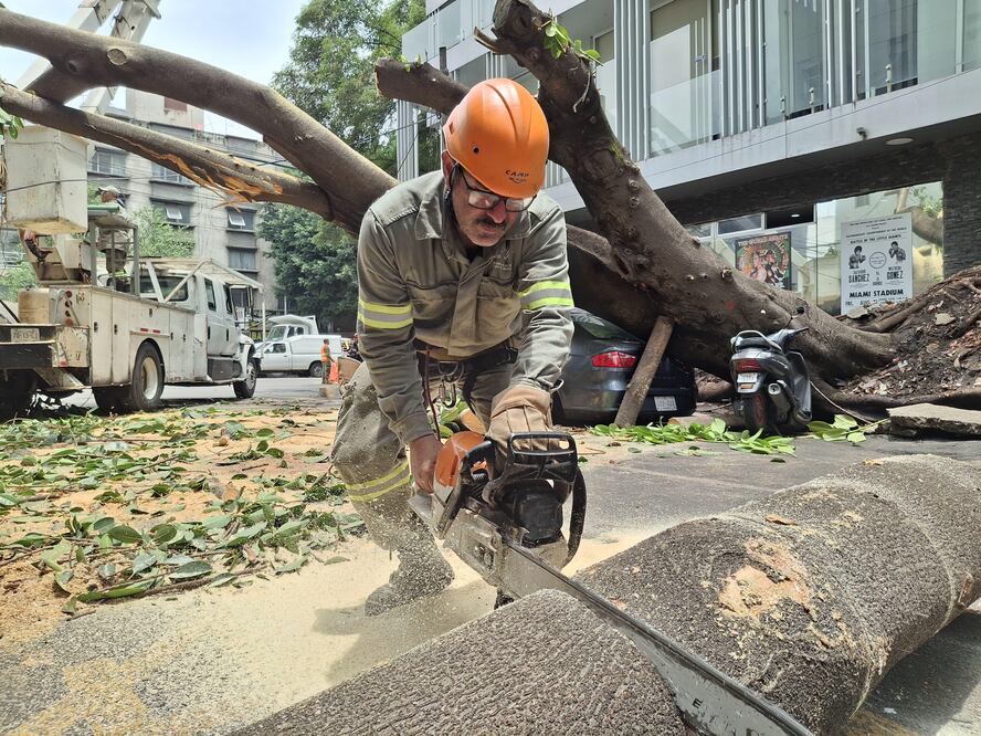 Alcaldía y Blindar BJ 360° en alerta por lluvias en la capital del país. (Foto: especial)