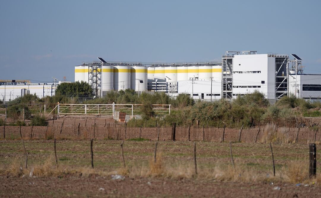 Foto: Archivo / EL UNIVERSAL