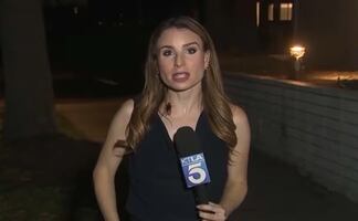 VIDEO: Enorme cucaracha se posa sobre periodista durante transmisión en vivo en California; intentó “robar protagonismo”, bromea reportera