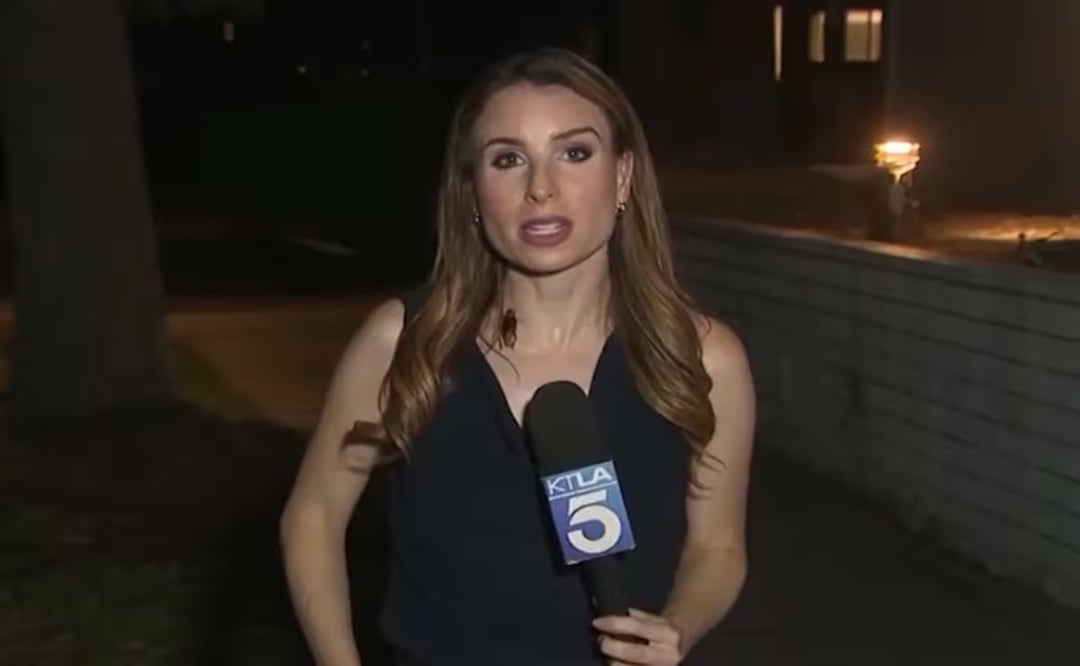 Una enorme cucaracha irrumpió en la transmisión en vivo de la periodista de KTLA, Rachel Menitoff. Foto: Vía La Nación