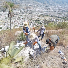 Cavan en cerros; así buscan a sus desaparecidos en Guerrero