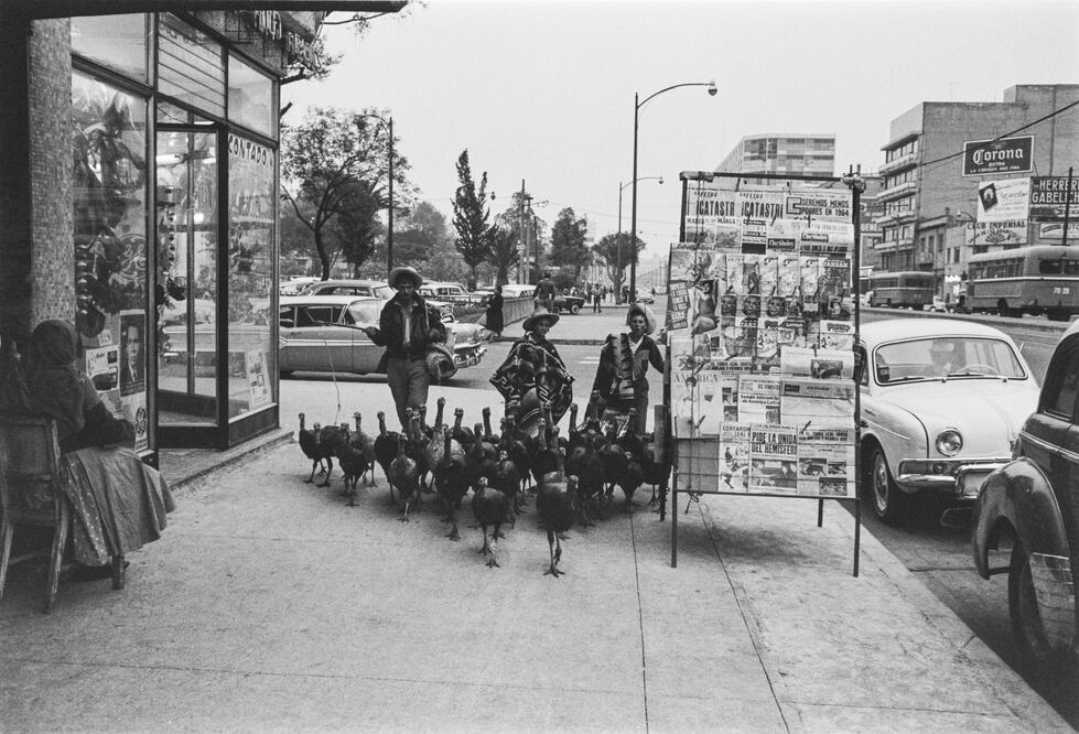 El guajolote en la cena de Navidad, en los bailes de boda y hasta en el transporte