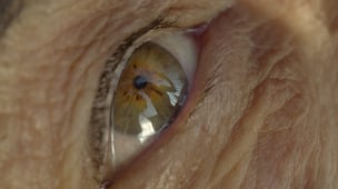 "Mácula", cortometraje a través del que su creadora narra la historia de desaparción de su tío 
