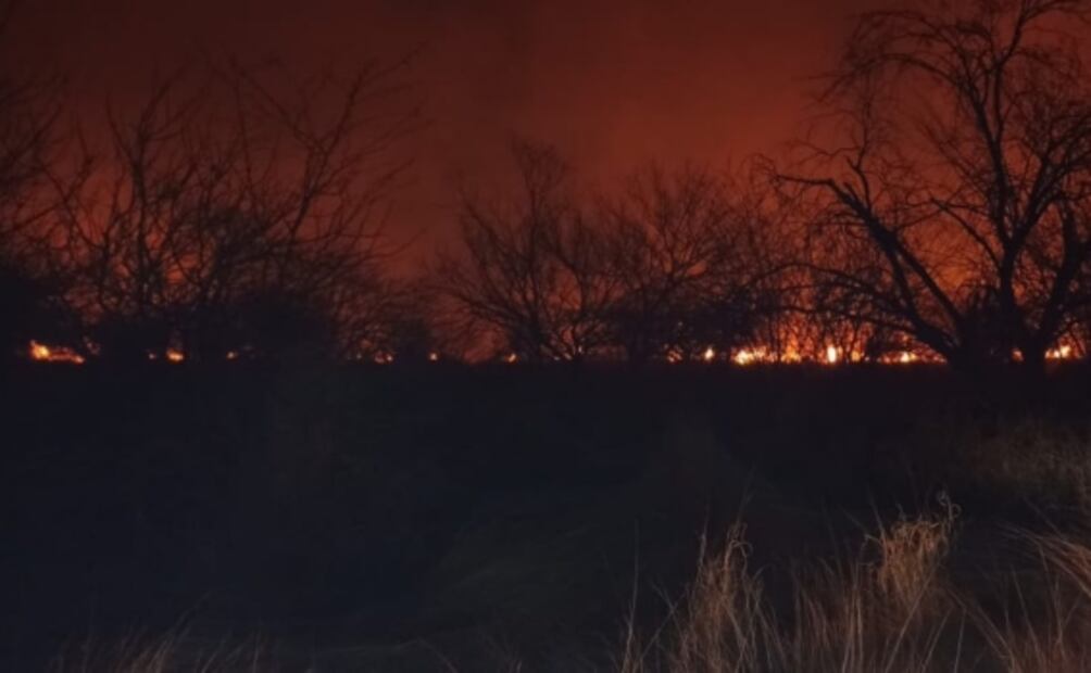 Incendio forestal en Sonora arrasa con mil 600 hectáreas de pastizal; reportan 40% de control