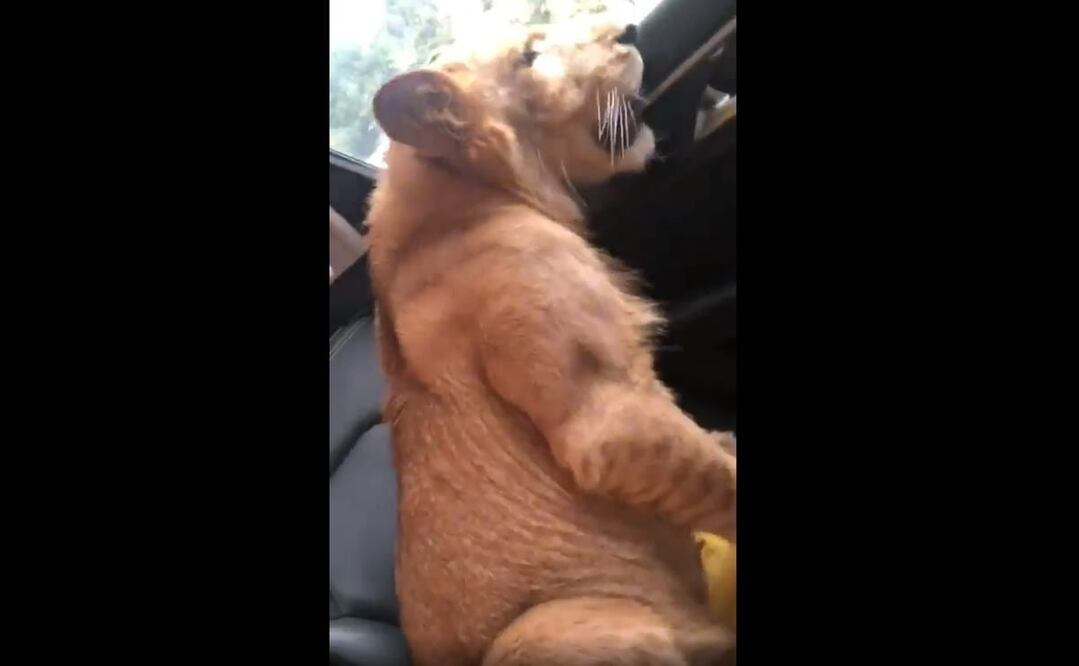 FOTO: tomada de redes