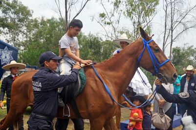 Brindarán equinoterapia en Naucalpan