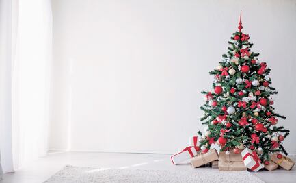 Días feriados en diciembre 2020. ¿Cuántos quedan en el año?