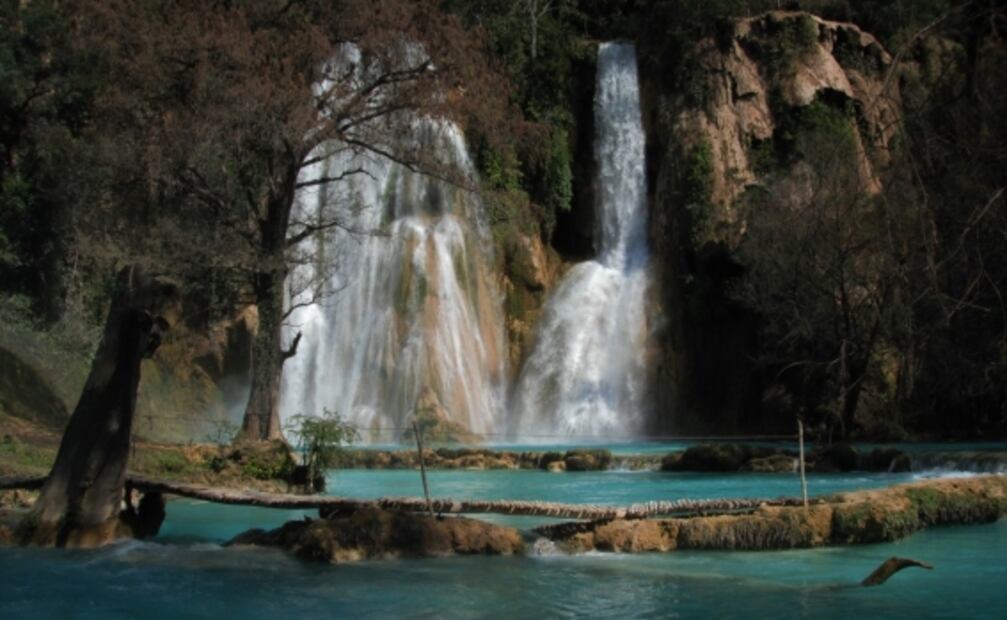 Las albercas naturales más bonitas de México