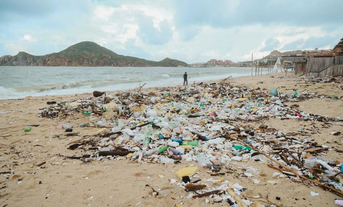 Tortugas desovan en playas de Los Cabos; basura y tormenta “Lorena” marcan la temporada. Foto: Especial