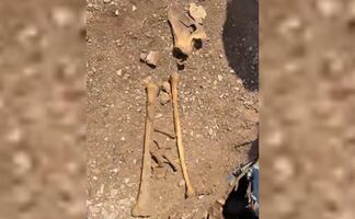 "La Fiscalía se llevó un cuerpo y dejó los demás aquí sepultados"; Ceci Flores vuelve a excavar fosa hallada en Sinaloa