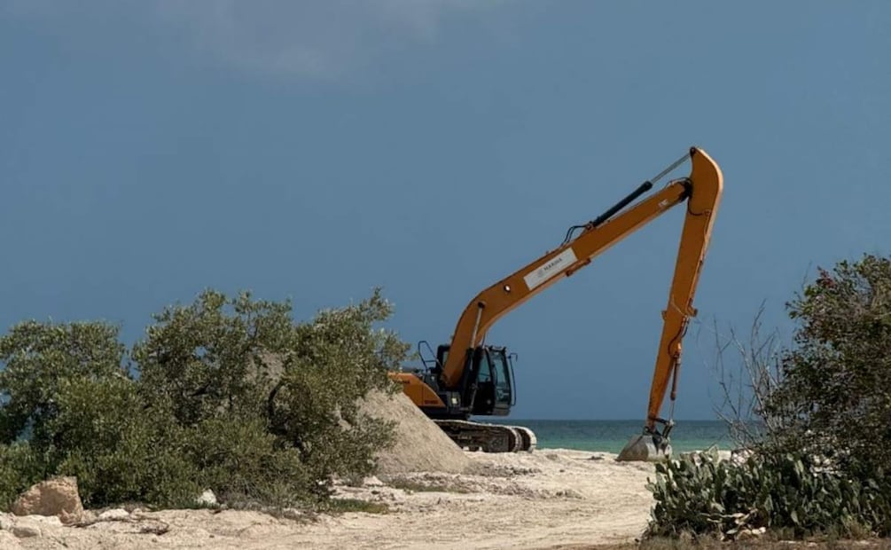 Uso de maquinaria pesada usada en la reserva federal de ciénegas y manglares en Yucatán (13/06/2025). Foto: Especial