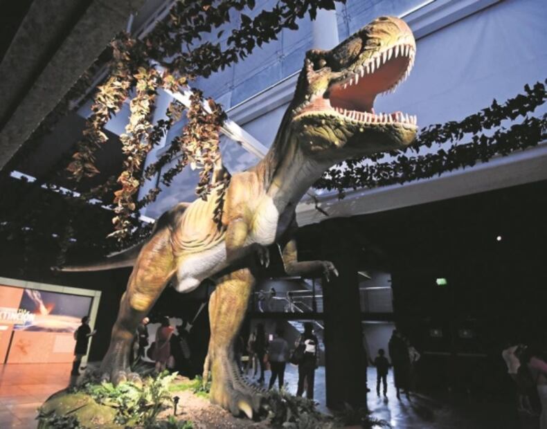 Un cártel de la droga convertido en empresa trasnacional