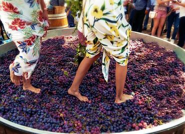 Guía para celebrar las Fiestas de la Vendimia en Querétaro